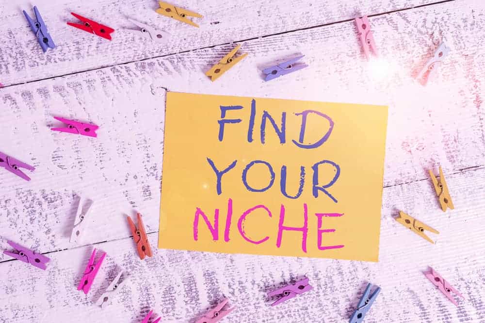 Things You Need For a Successful Blog Launch - Find your Niche