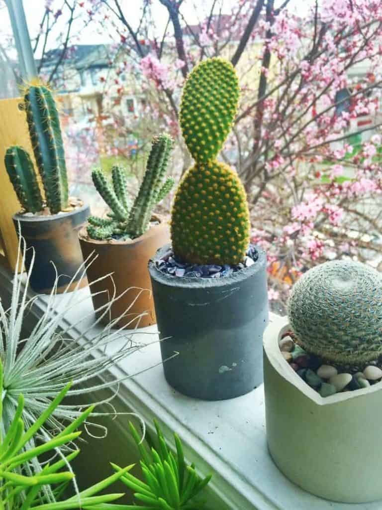 Made by Rheal - Black-owned Etsy planters home decor
