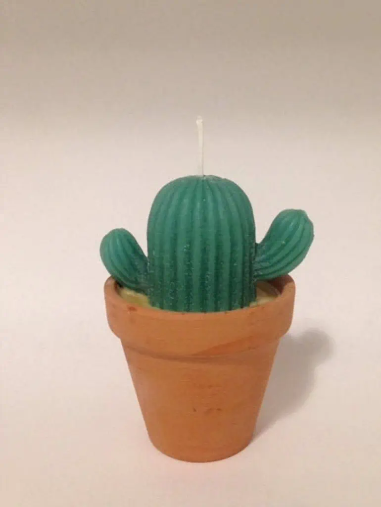 Cool Shaped candles | Cactus pot